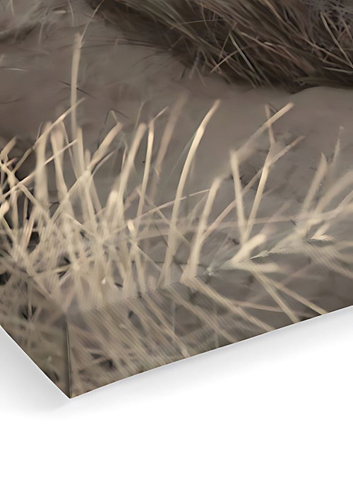Wallity Artcanvas105 Lienzo Decorativo Multicolor 40 x 60 cm Wallity Artcanvas105 Lienzo Decorativo Multicolor 40 x 60 cm